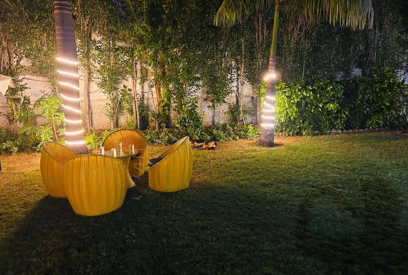 Farmház Mango People Farm Villa Gurgáon